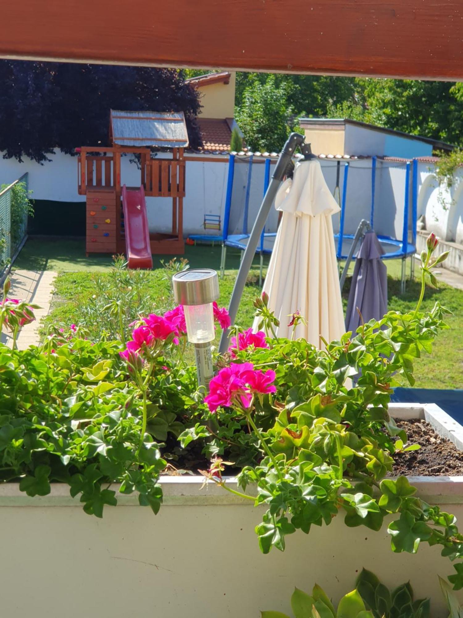 Bella Apartman Szeged Exterior foto